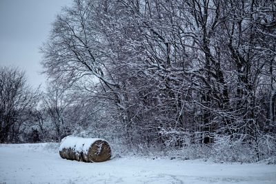 Snowy Bales