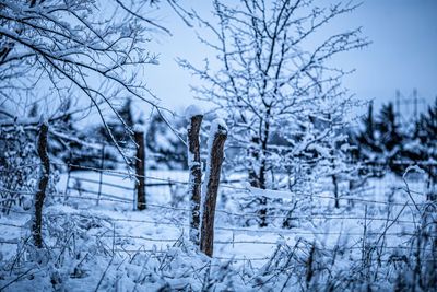 Snow Fence