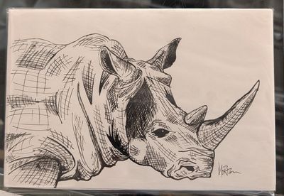 Pin &amp; Ink Rhinoceros  9" x 6"