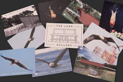 10 Pack of Post  Cards