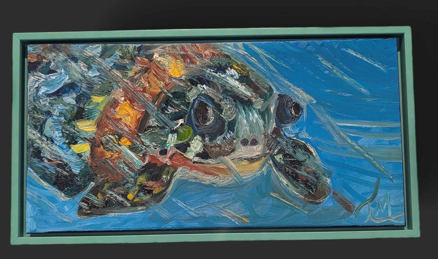 Sea turtle
