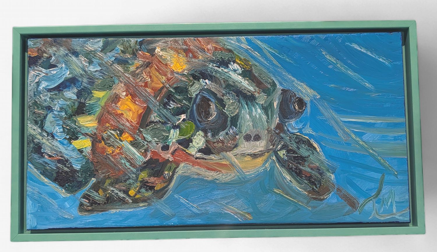 Sea Turtle  Print