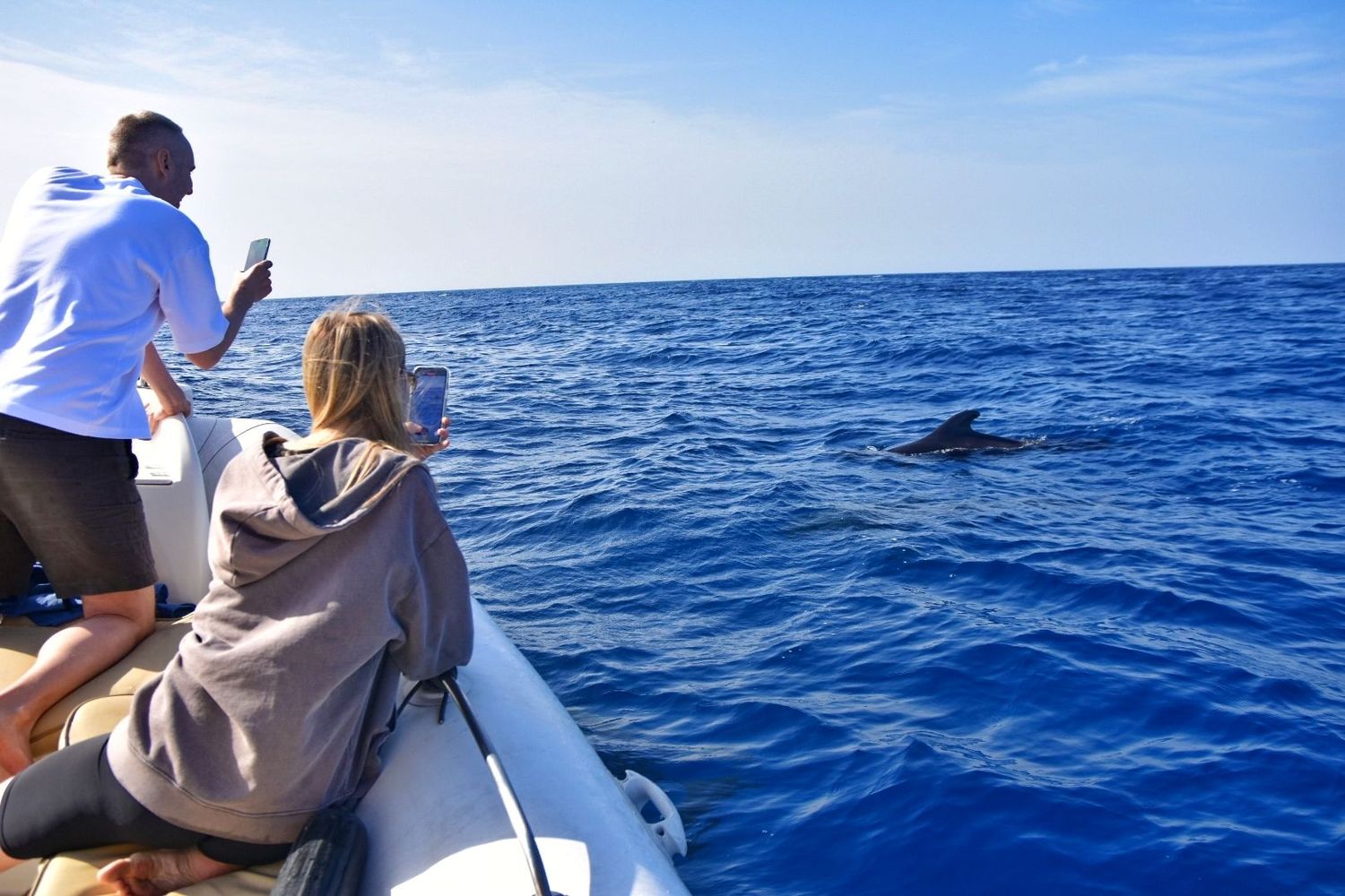 Avistamiento Privado de Cetáceos · Eco Tour Científico ( 2 horas ) Avistamiento Privado de Cetáceos · Eco Tour Científico ( 2 horas )