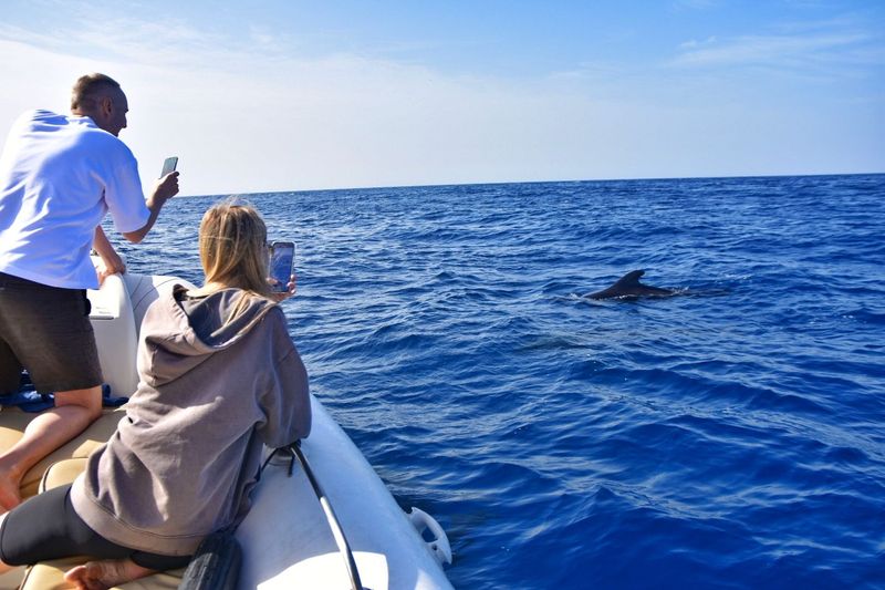 Avistamiento Privado de Cetáceos · Eco Tour Científico ( 2 horas )