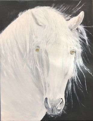 Moonlit Mare