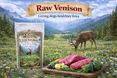 Freeze Dried Raw Venison