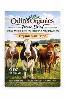 Freeze Dried Raw Green Tripe