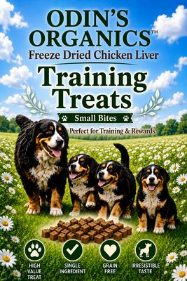 Dog Treats Freeze Dried Chicken