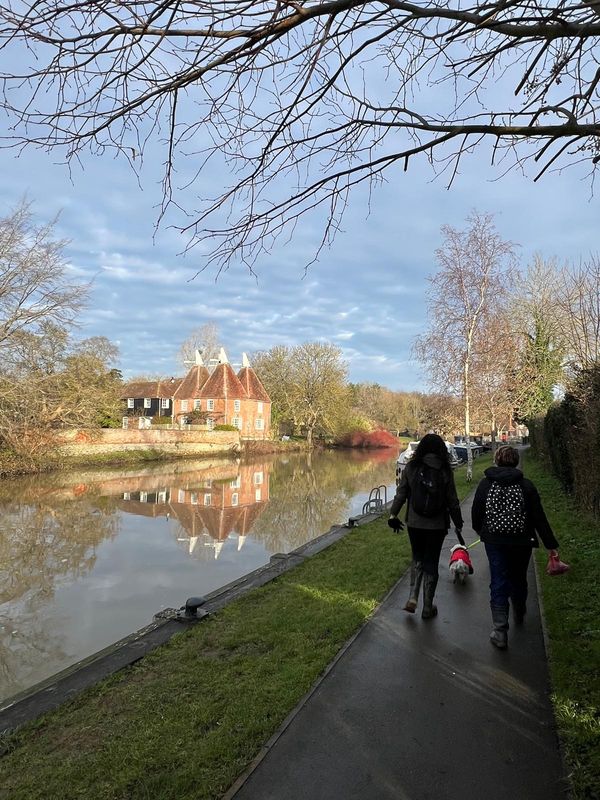 10th May 2026 - Blue Light Walk