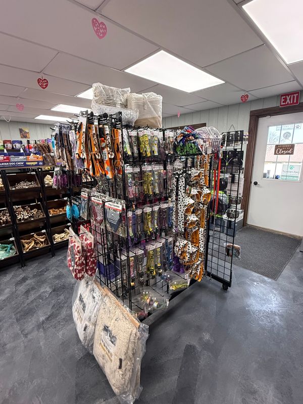 COLLAR, LEASH, HARNESS, &amp; TIE OUTS