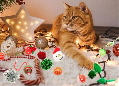 HOLIDAY CAT TOYS &amp; SUPPLIES