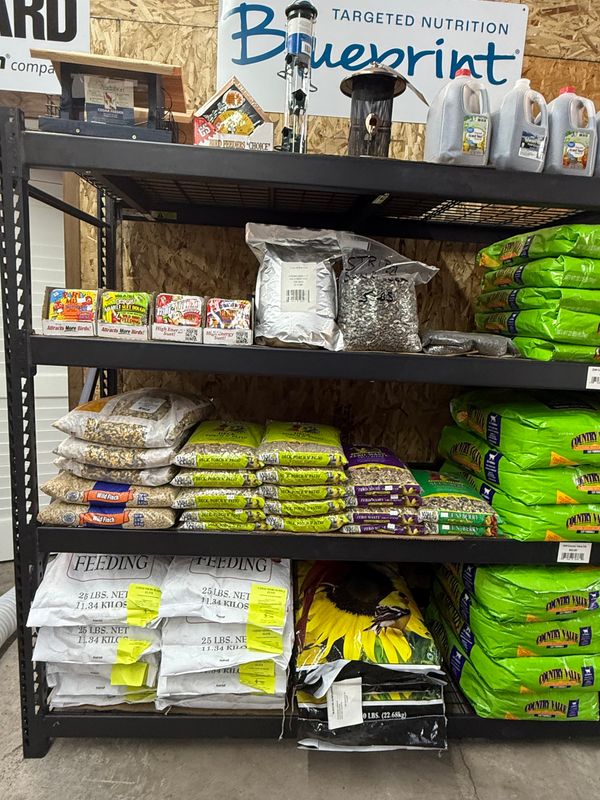 WILD BIRD SEED &amp; SUPPLIES
