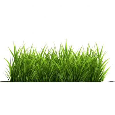 LAWN, GARDEN, FARM &amp; GRASS SEED