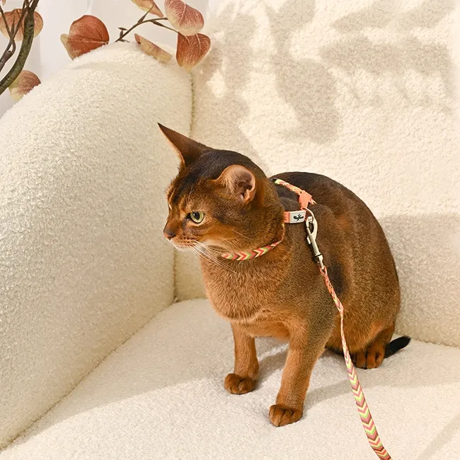 Hugsmart Products Inc - HugSmart Pet - Cat Harness &amp; Leash Set | Vintage - S