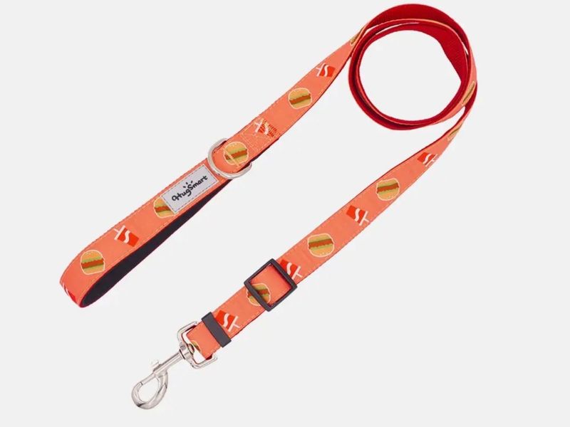 Hugsmart Products Inc - HugSmart Pet - Dog Leash | FoodieTime - L