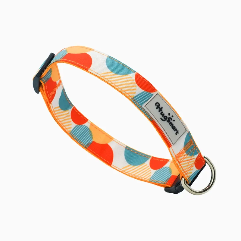 Hugsmart Products Inc - HugSmart Pet - Dog Collar | Dancing Dots - L