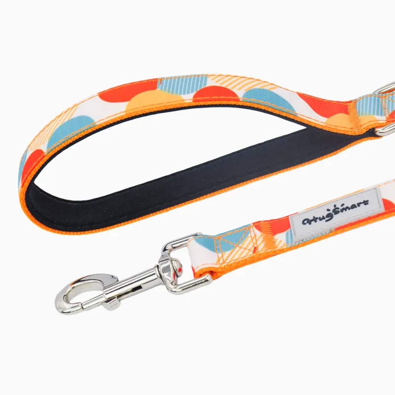 Hugsmart Products Inc - HugSmart Pet - Dog Leash | Dancing Dots - S