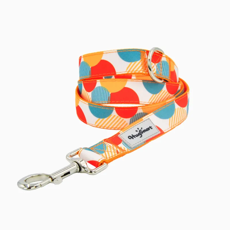 Hugsmart Products Inc - HugSmart Pet - Dog Leash | Dancing Dots - S