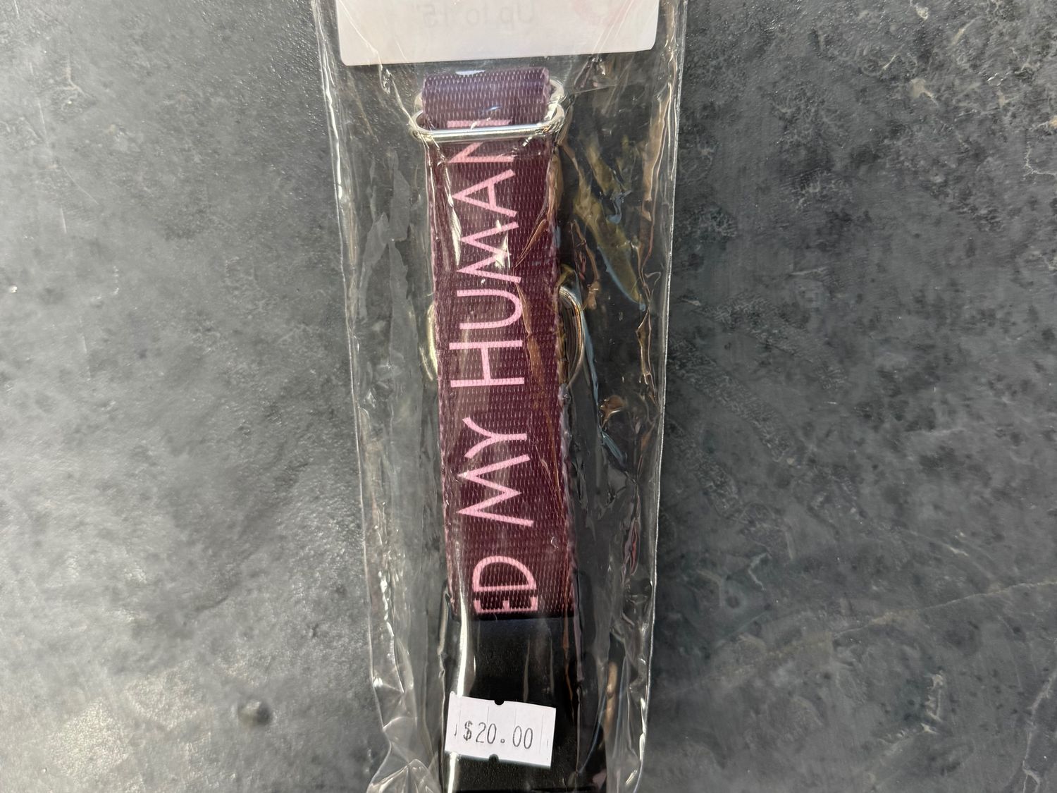 Pawsitively Loved My Human Pet Collar Medium (15"-18")