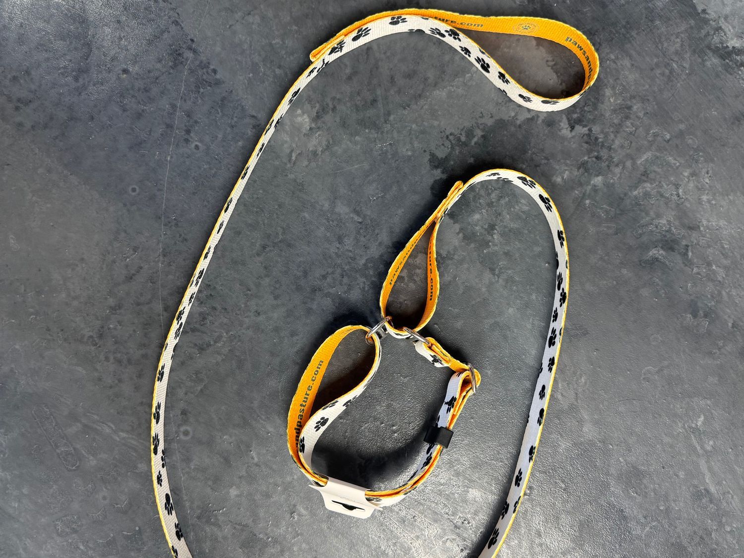 Paws &amp; Pasture Premier Martingale Leash Combo 1" Medium (11.5"-17")