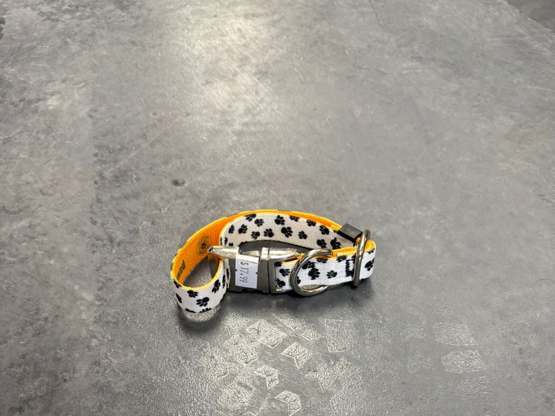 Paws &amp; Pasture Premier Collar Large 1.5" (20.5"-35")