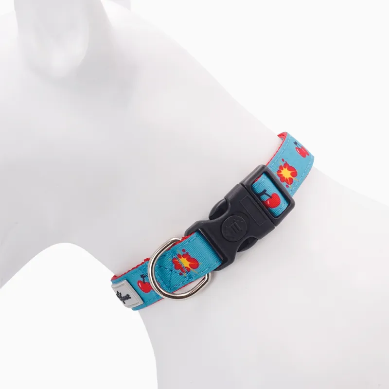 Hugsmart Products Inc - HugSmart Pet - Dog Collar | Cherry Cherry - S
