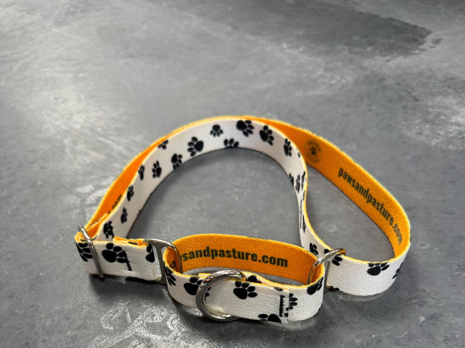 Paws &amp; Pasture Premium Martingale Collar Medium 1" (11.5"-17")