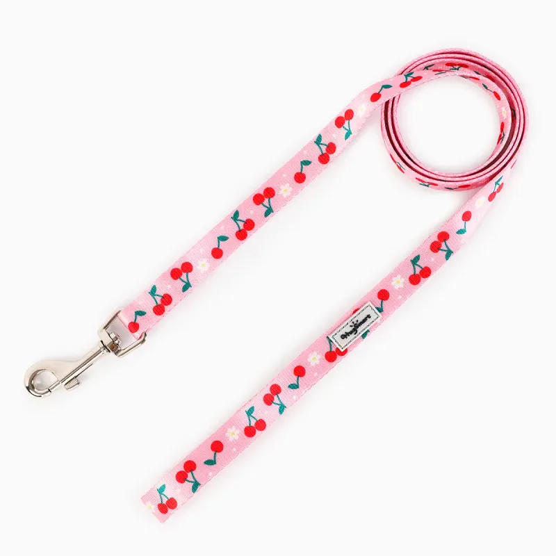 Hugsmart Products Inc - HugSmart Pet - Cat Harness &amp; Leash Set | Cherry - S