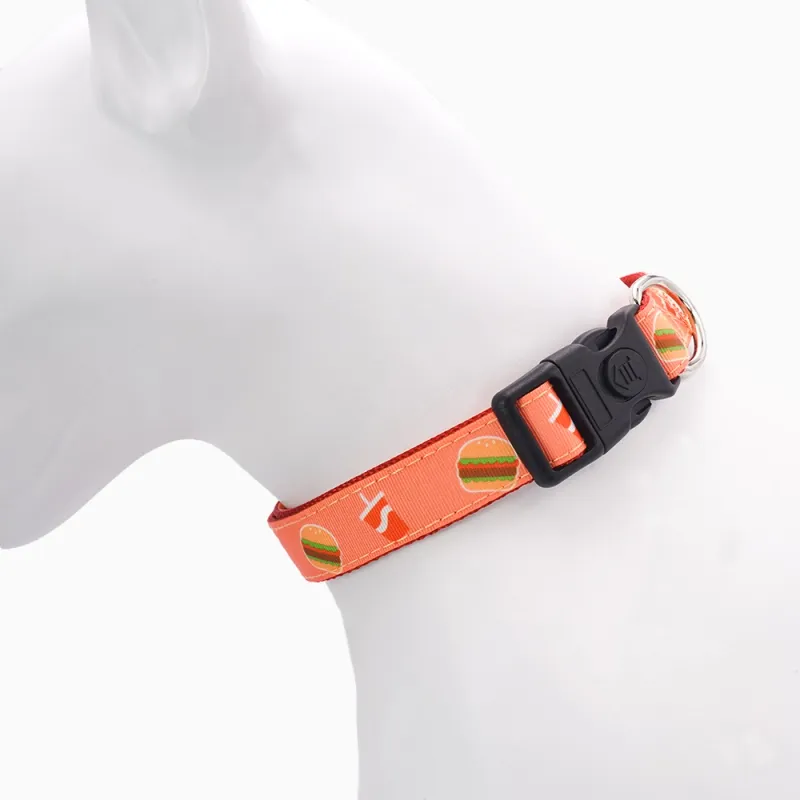 Hugsmart Products Inc - HugSmart Pet - Dog Collar | FoodieTime - L