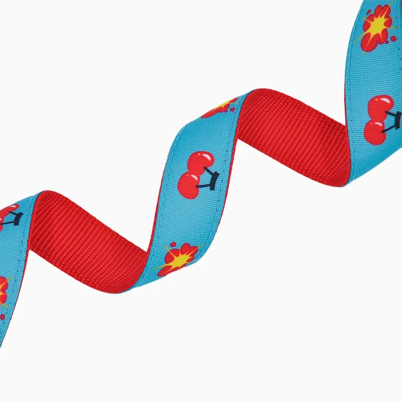 Hugsmart Products Inc - HugSmart Pet - Dog Collar | Cherry Cherry - M