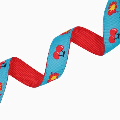 Hugsmart Products Inc - HugSmart Pet - Dog Collar | Cherry Cherry - M