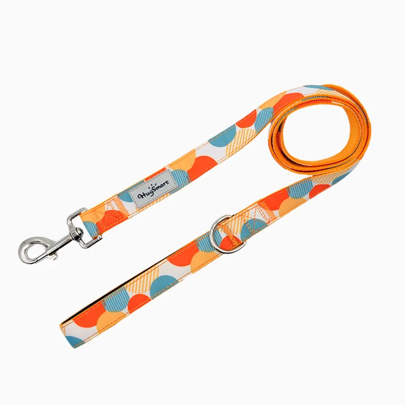 Hugsmart Products Inc - HugSmart Pet - Dog Leash | Dancing Dots - L