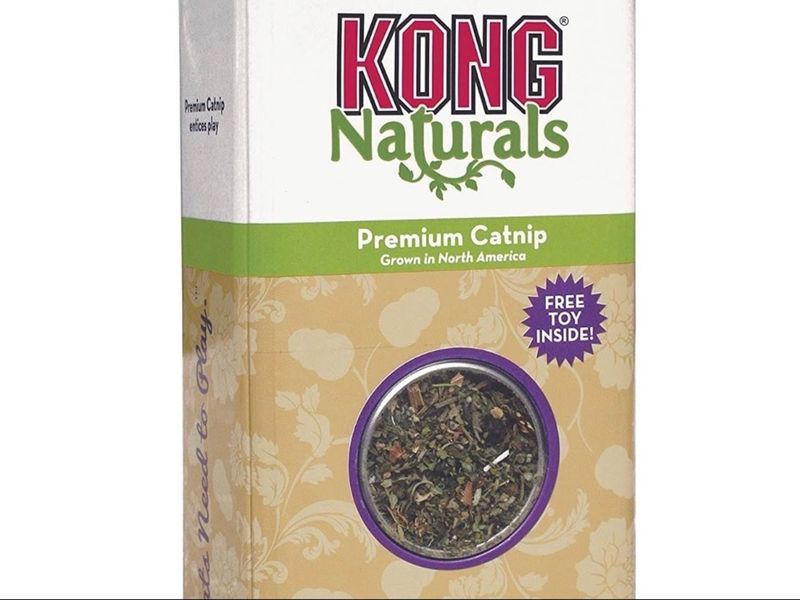 Kong Cat Nip 2oz