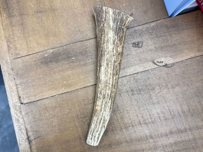 Antler-Elk Whole Large Antler Chew