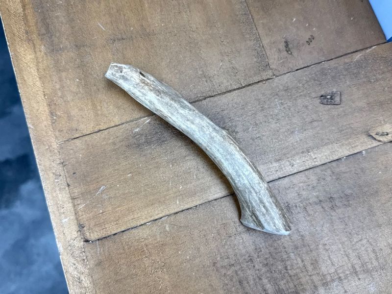 Antler-Elk Whole Medium Antler Chew