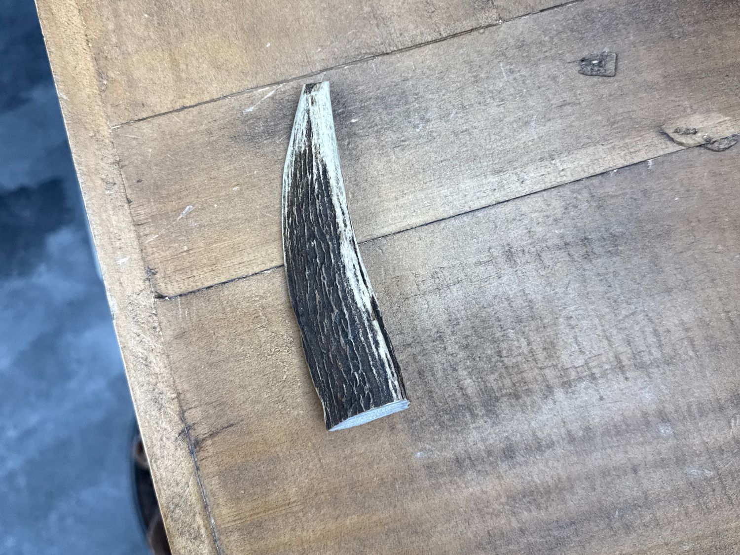 Whitetail Whole Elk Antler-Small