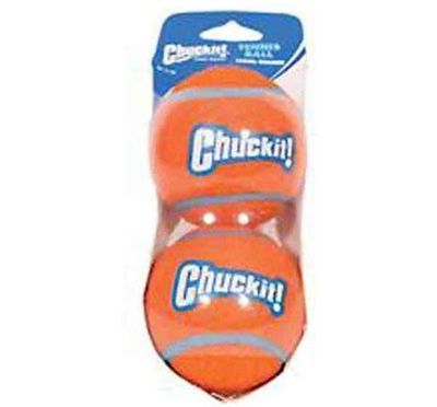 Chuck It 2pk Lrg