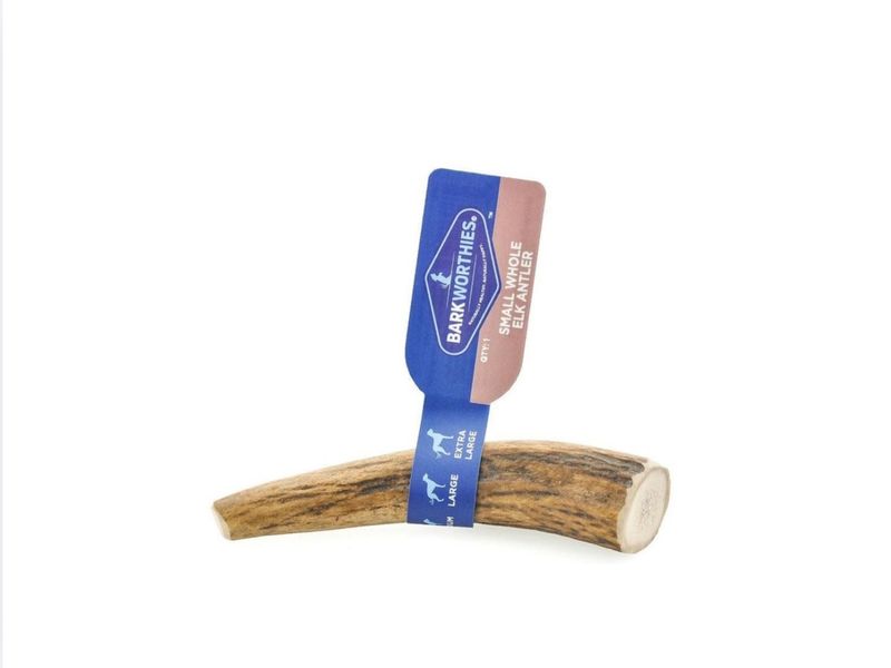 Antler Whole Elk XL- Barkworthy