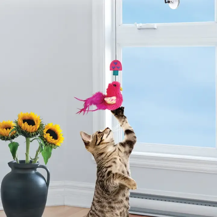 KONG® Connects Window Teaser Assorted Cat Toy
