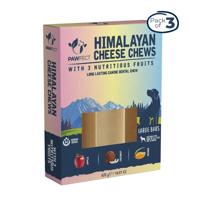 Pawfect Himalayan Cheese Chews with Apple, Mango &amp; Coconut for Large Dogs | All Natural dental stick | Rich in Protein &amp; Cal...