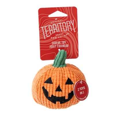 Pumpkin 2-in-1 Glow-in-the-Dark Fetch Dog Toy 4"