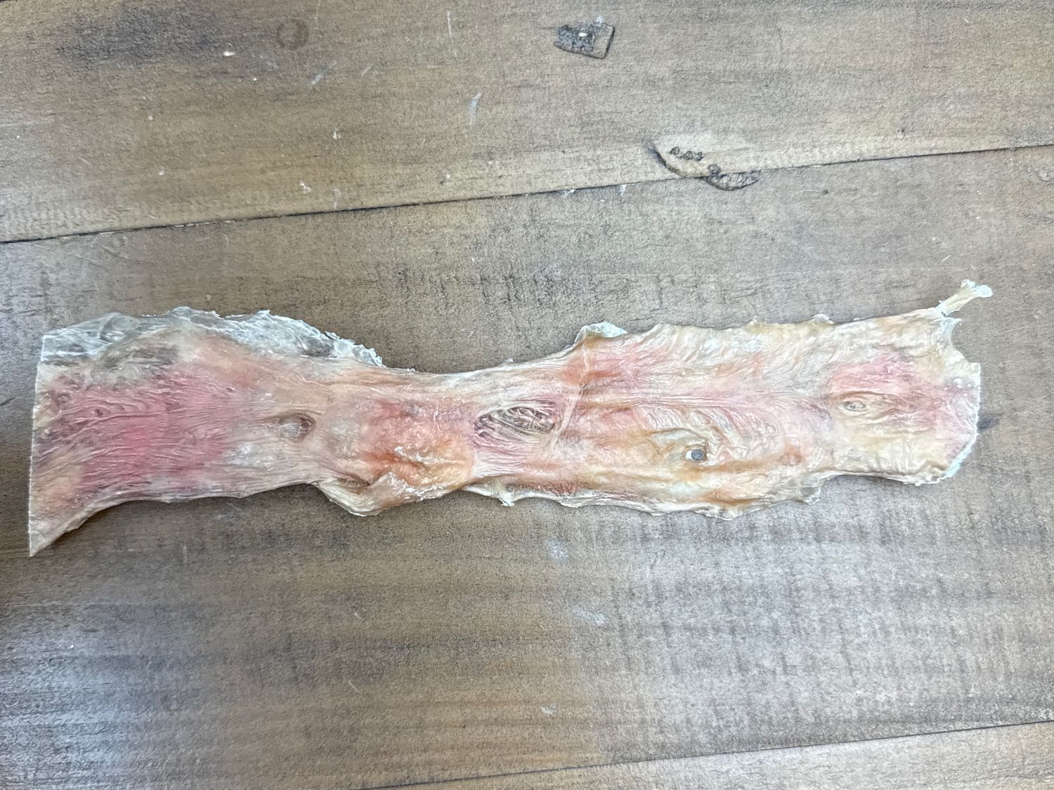 12 Inch Flat Bladder Strip- Sold per strip