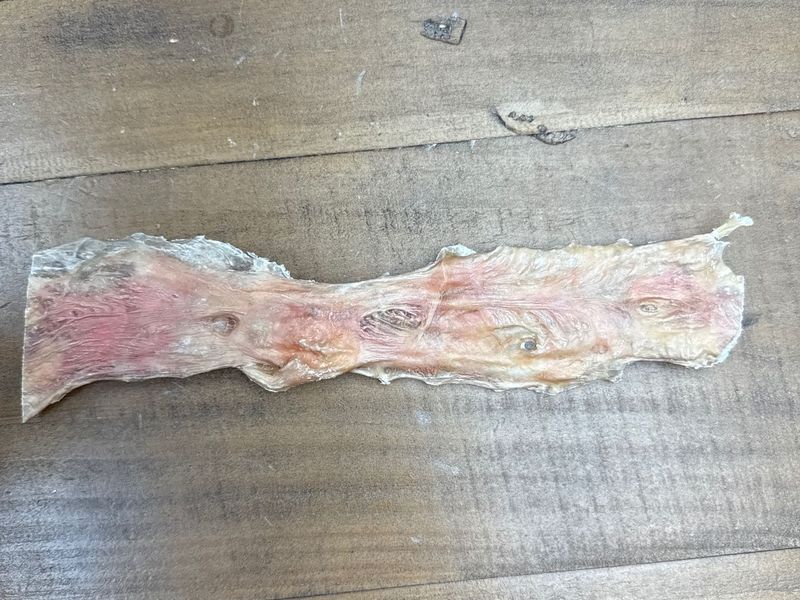 Bladder 12" Flat Strip