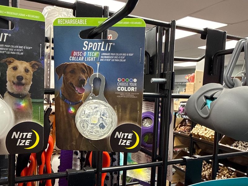 NiteIze SpotLit Rechargeable Collar Light Jewel