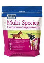 Ultra Start Multi Species Colostrum Supplement