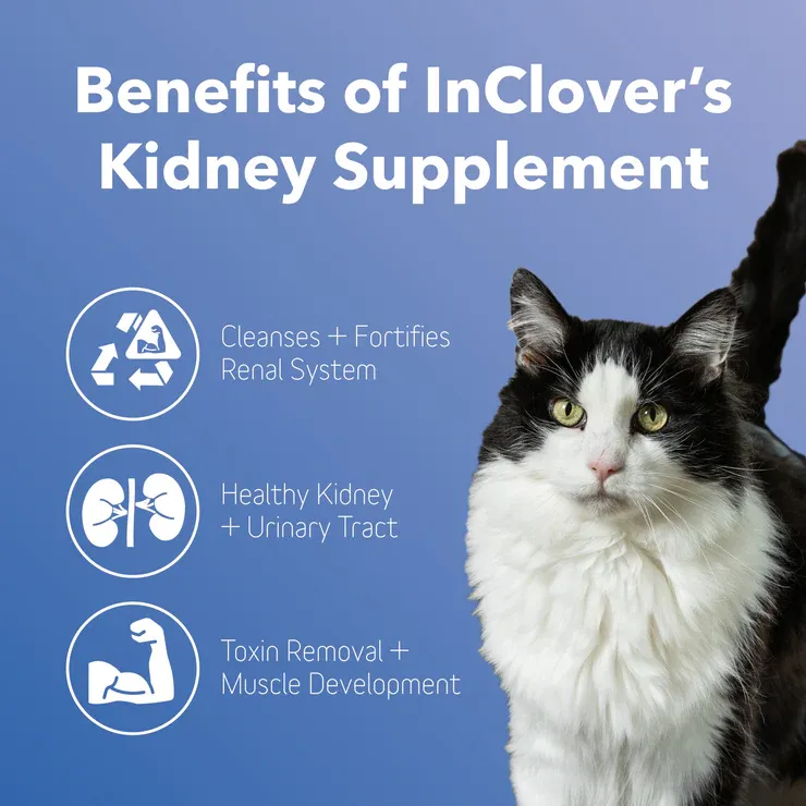 InClover Kidney Cleanse + Detox Powder Dog &amp; Cat Supplement