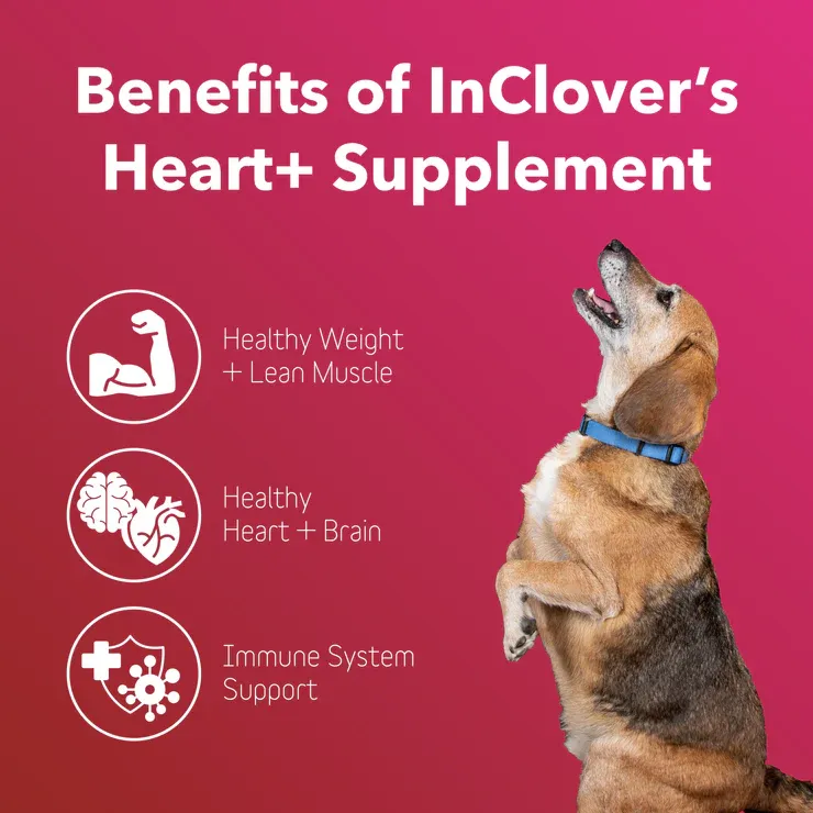 InClover Heart + Muscle + Weight Powder Dog &amp; Cat Supplement