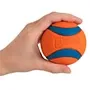 Chuck It Ultra Large Ball