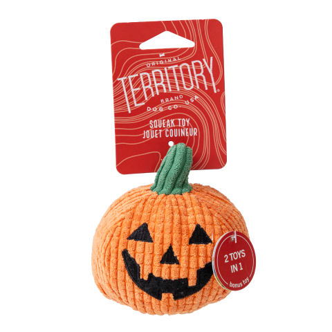Territory 2 in 1 Pumpkin Ball 6"