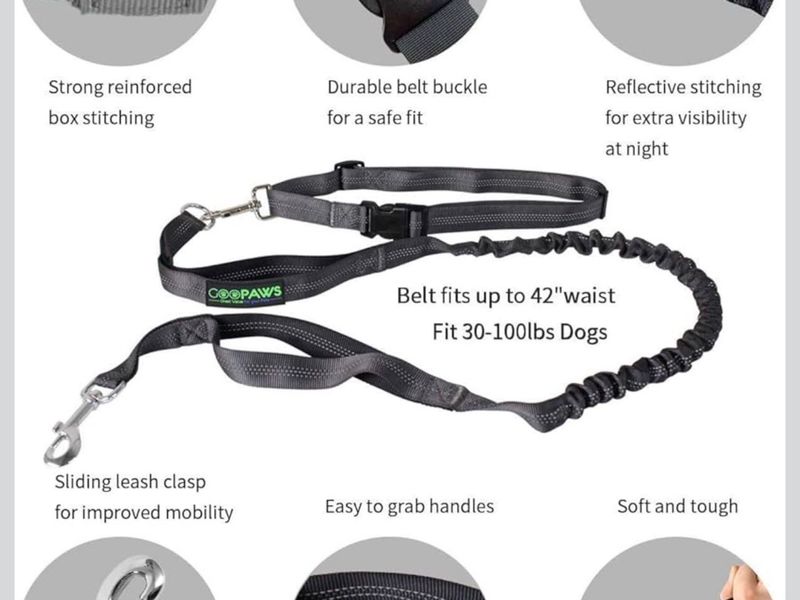 GOOPAWS No Pull Hand Free Bungee Dog Leash for Hiking, Running, Black